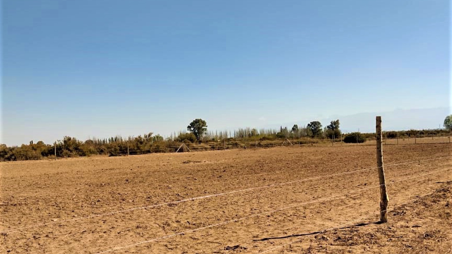 Terreno en Venta en Lavalle, Mendoza