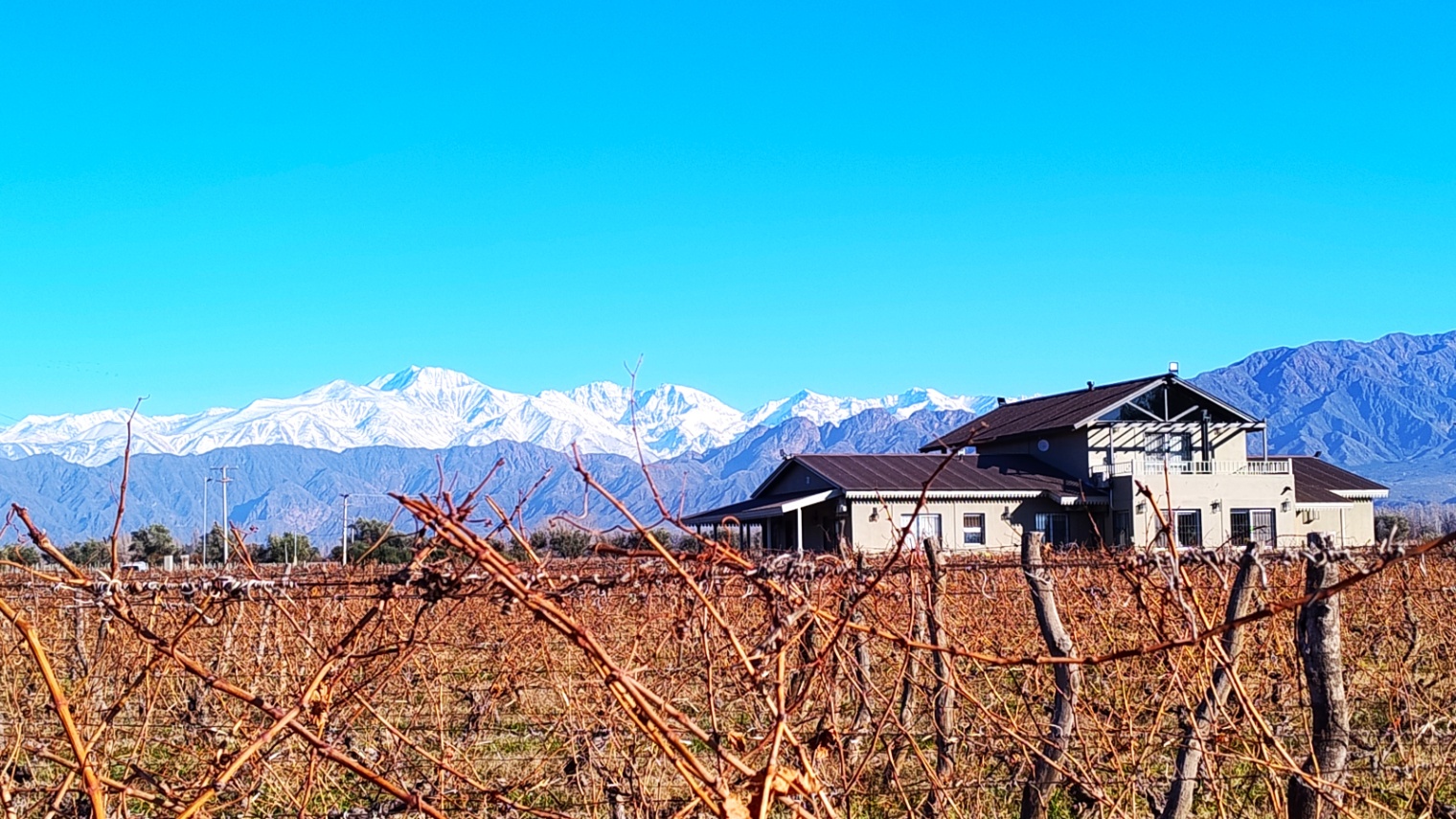 Terreno en Venta en Lujan de Cuyo, Mendoza