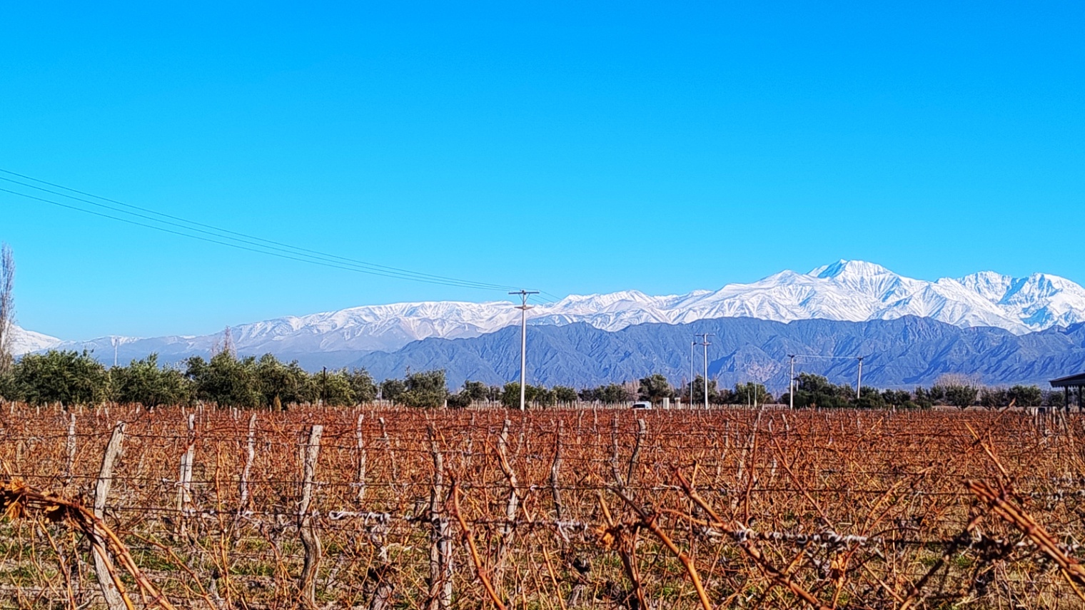 Terreno en Venta en Lujan de Cuyo, Mendoza