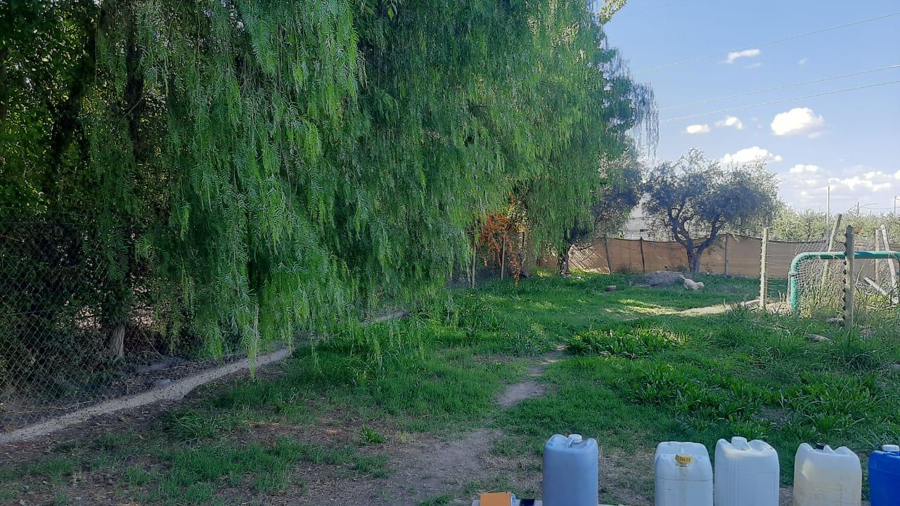 Terreno en Venta en Maipu, Mendoza