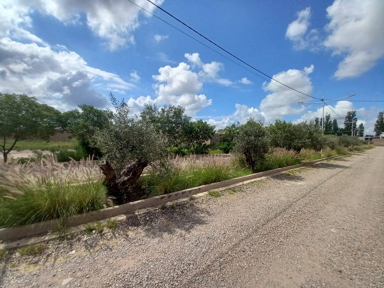 Terreno en Venta en Lujan de Cuyo, Mendoza