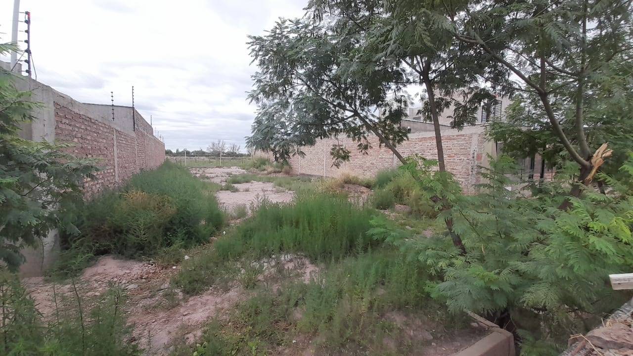Terreno en Venta en Lujan de Cuyo, Mendoza