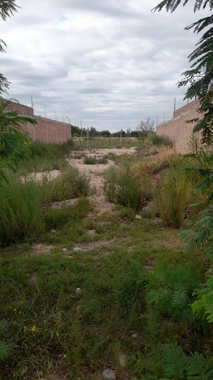 Terreno en Venta en Lujan de Cuyo, Mendoza