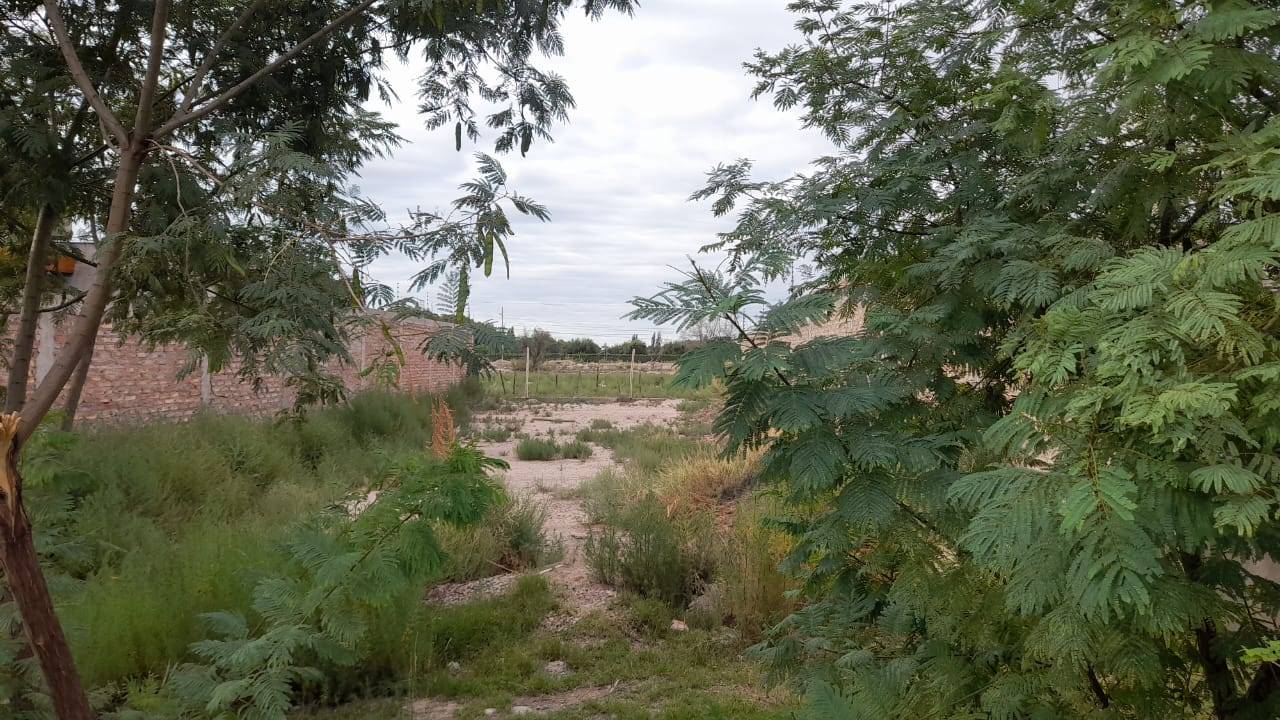 Terreno en Venta en Lujan de Cuyo, Mendoza
