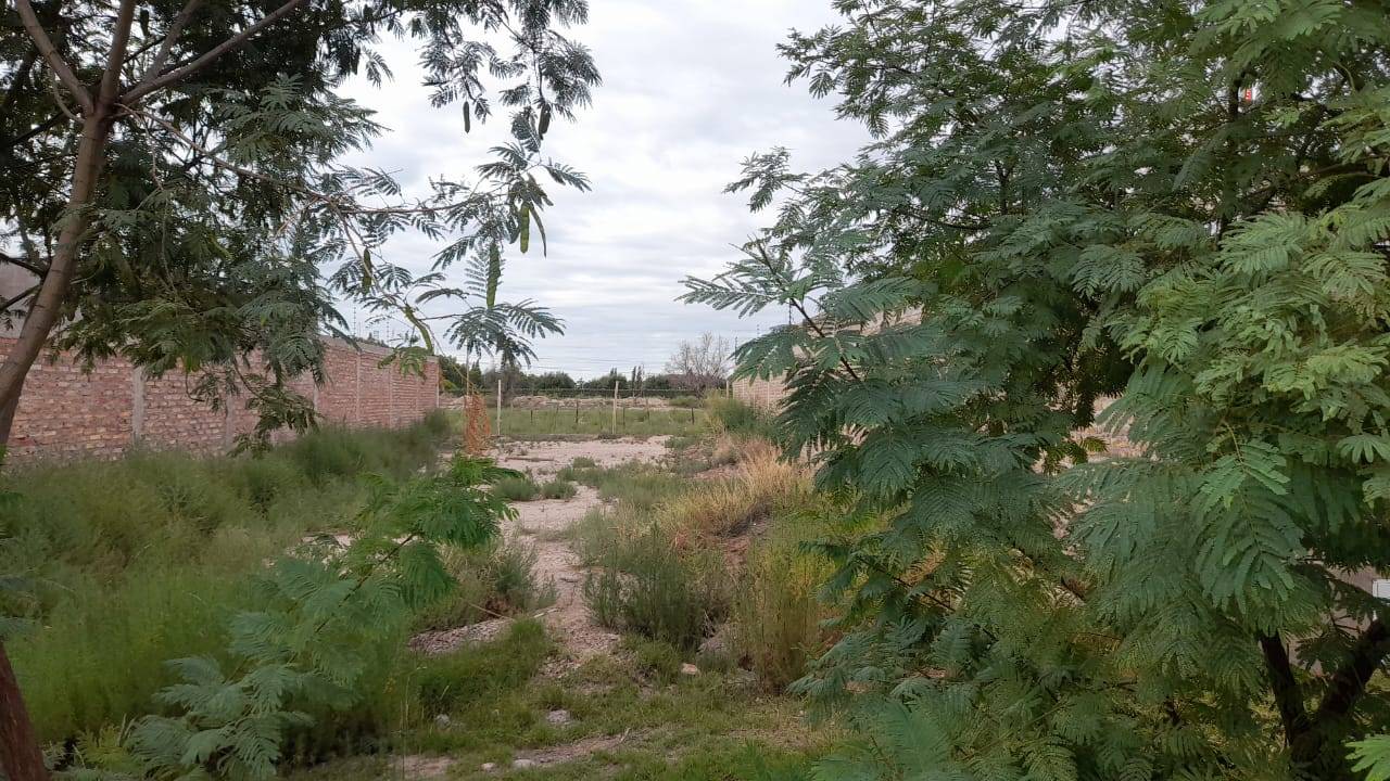 Terreno en Venta en Lujan de Cuyo, Mendoza
