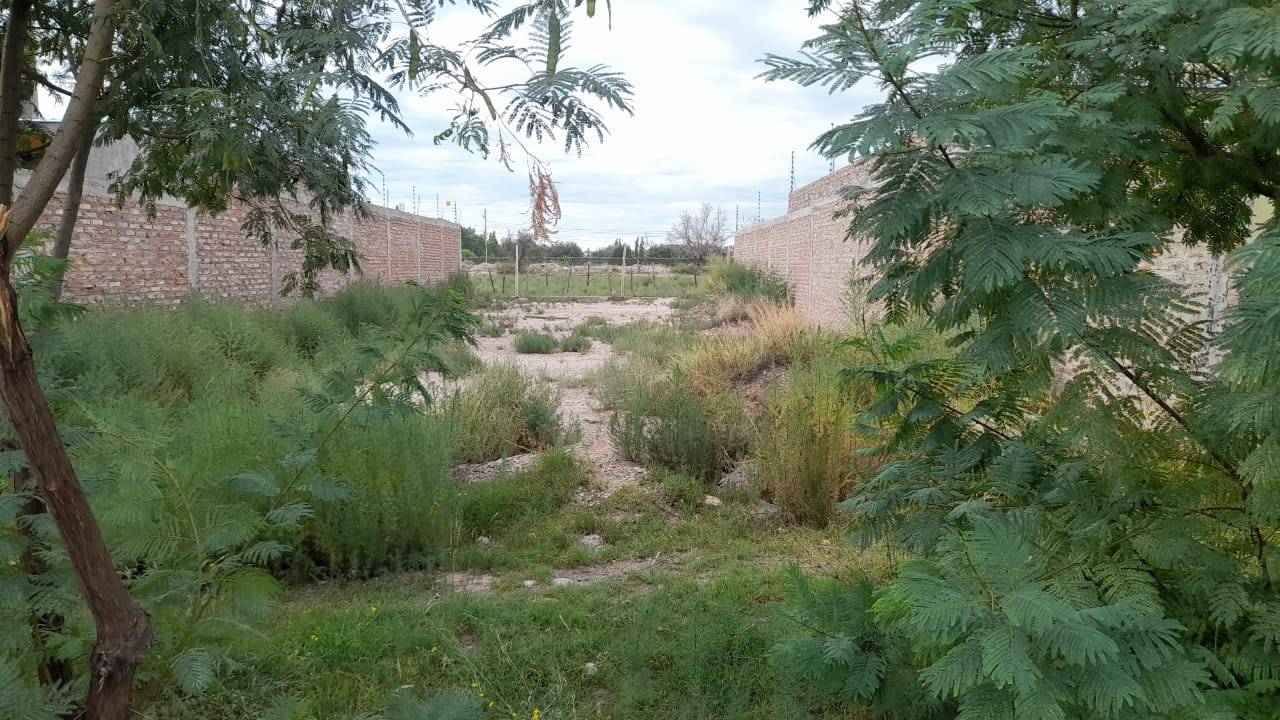 Terreno en Venta en Lujan de Cuyo, Mendoza