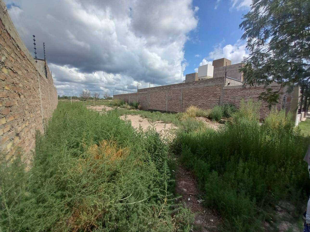 Terreno en Venta en Lujan de Cuyo, Mendoza