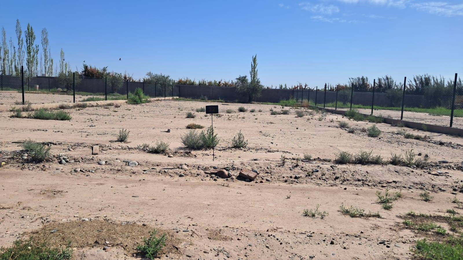 Terreno en Venta en Lujan de Cuyo, Mendoza