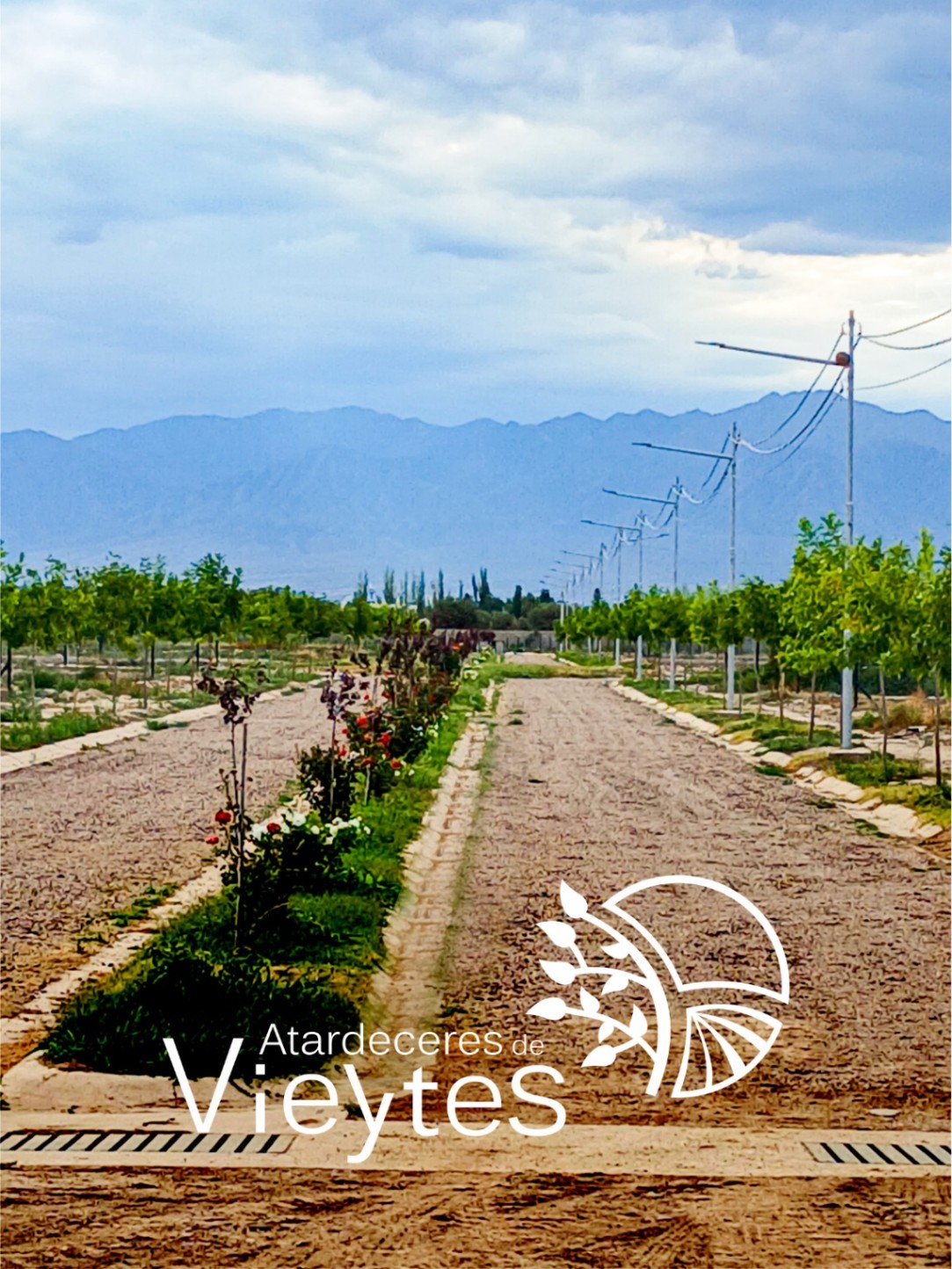 Terreno en Venta en Lujan de Cuyo, Mendoza