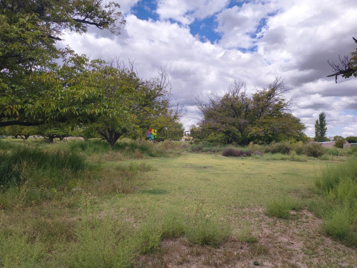Terreno en Venta en San Carlos, Mendoza
