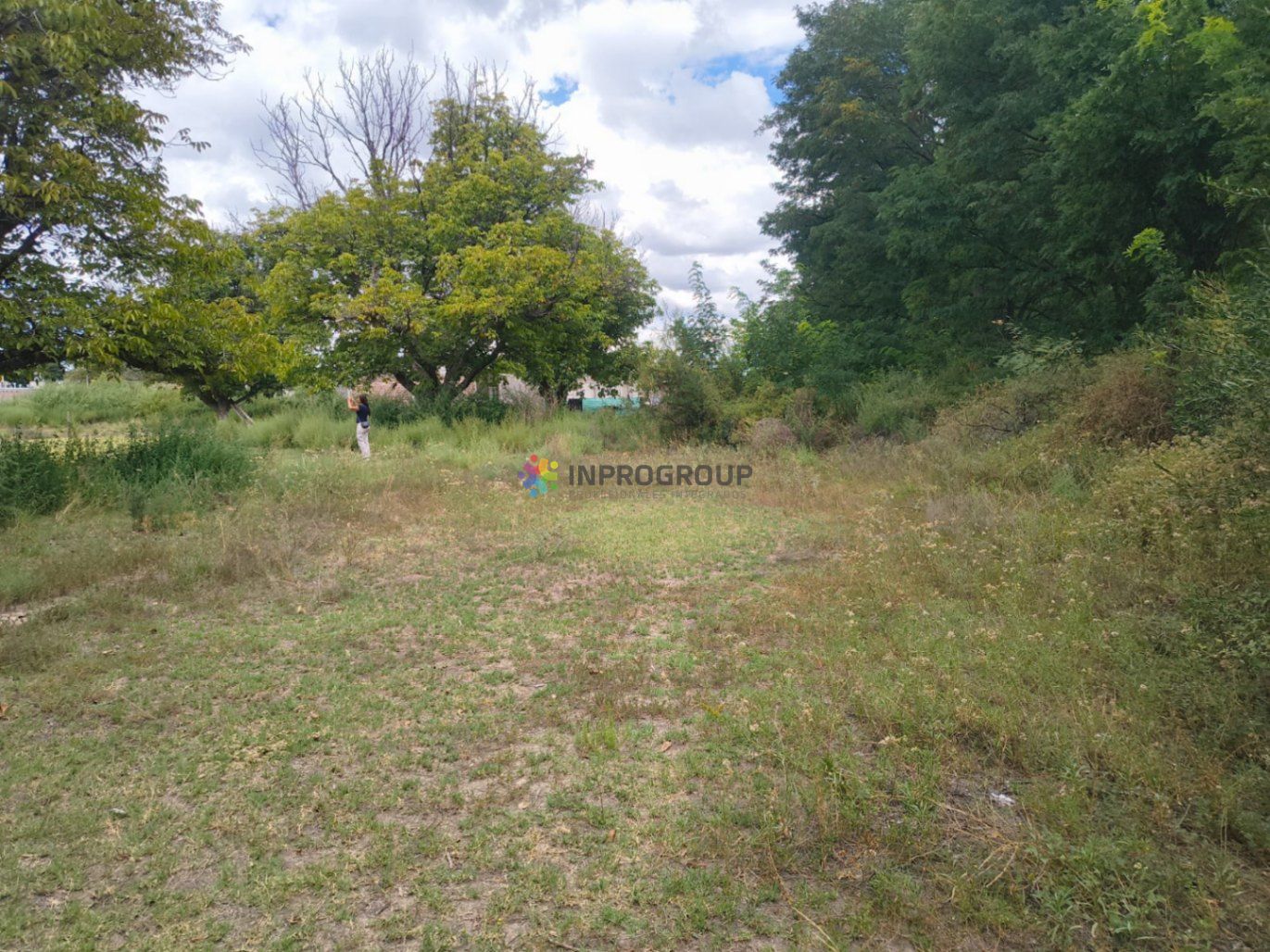 Terreno en Venta en San Carlos, Mendoza
