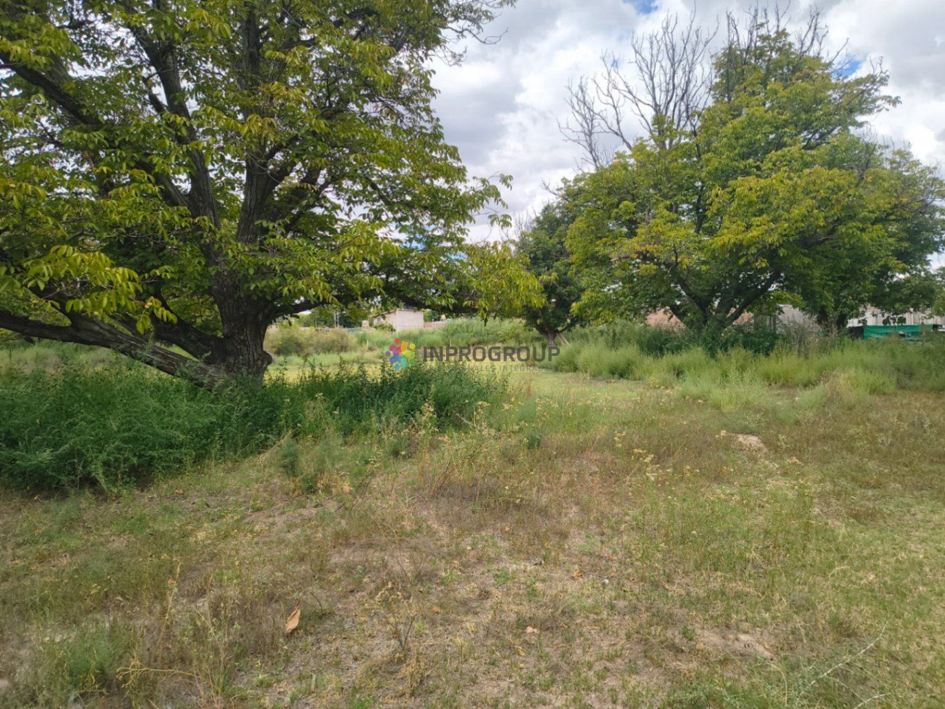 Terreno en Venta en San Carlos, Mendoza