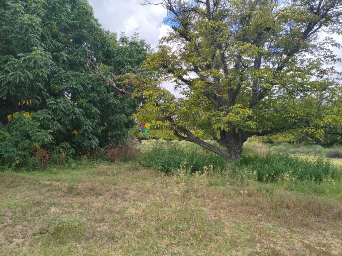 Terreno en Venta en San Carlos, Mendoza