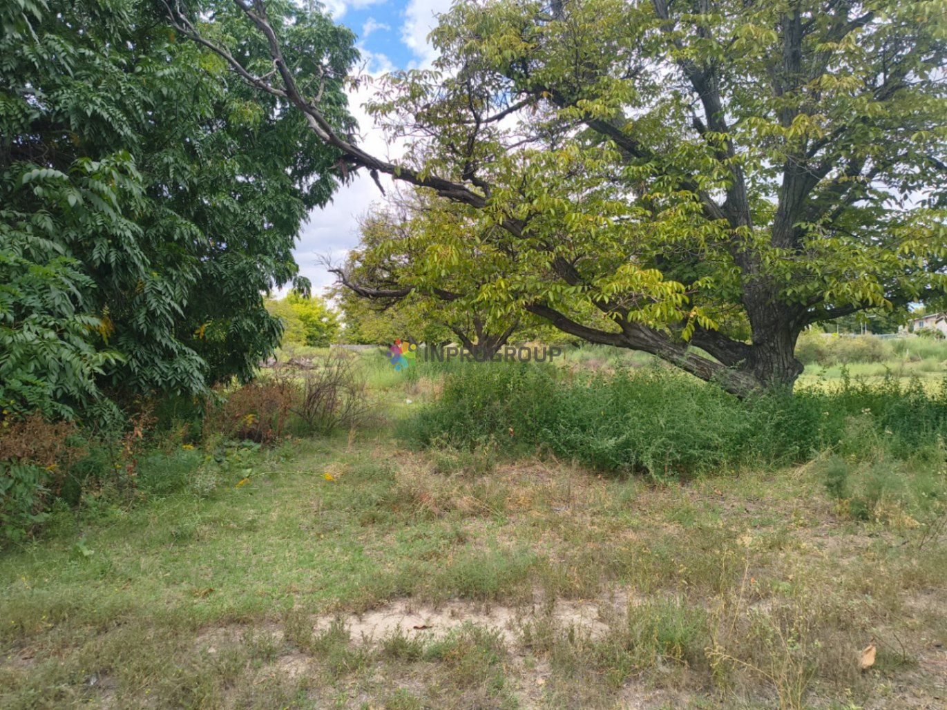 Terreno en Venta en San Carlos, Mendoza