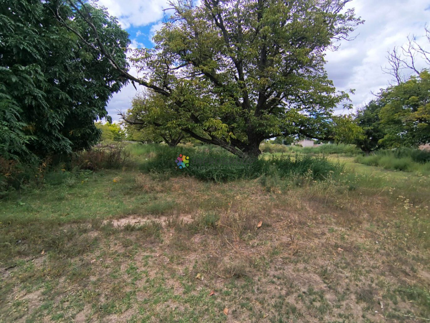 Terreno en Venta en San Carlos, Mendoza