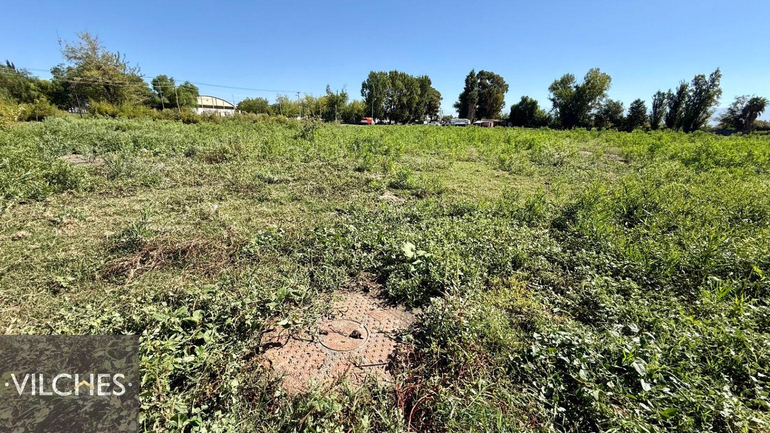 Campo en Venta en Guaymallen, Mendoza