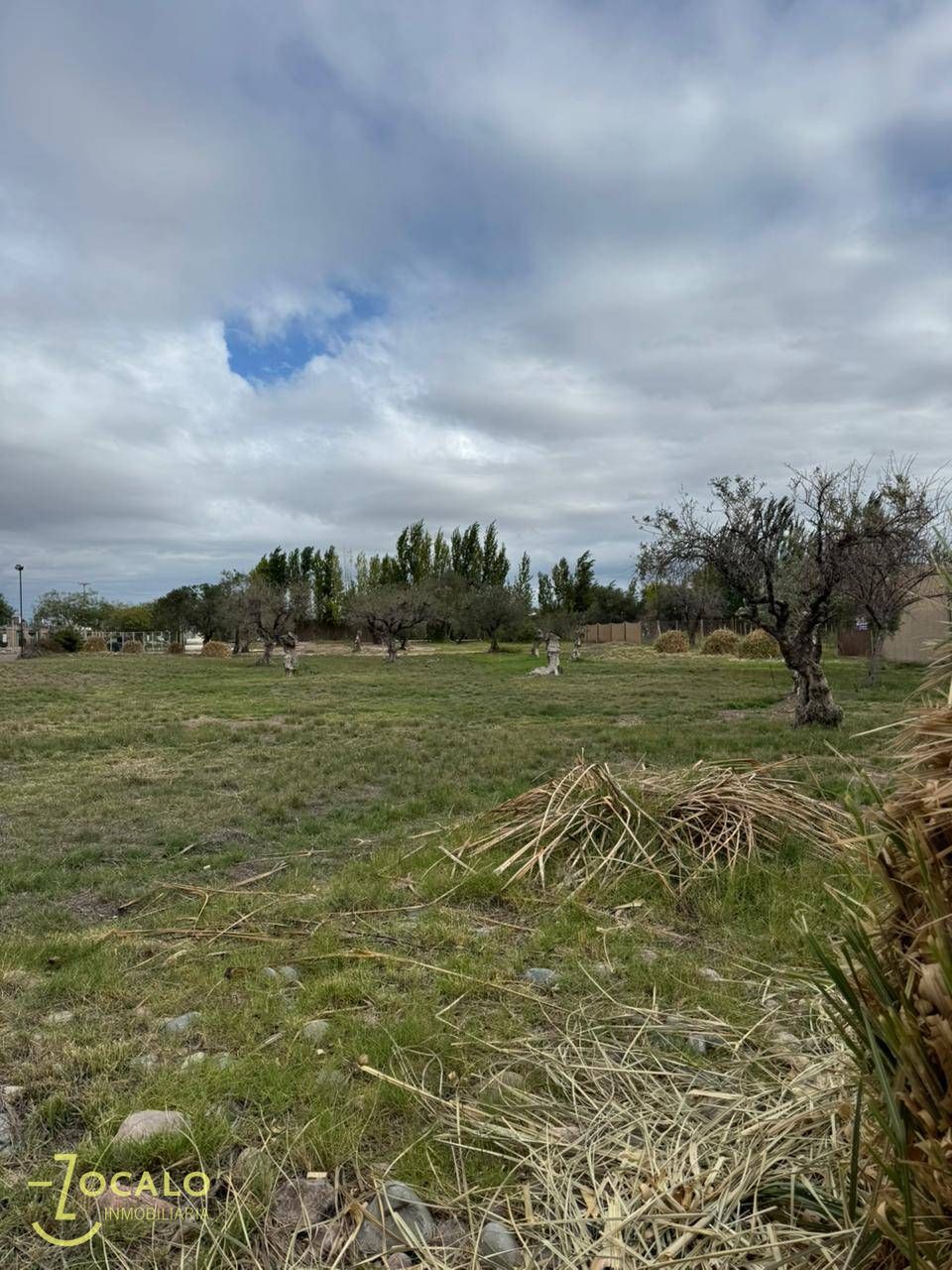 Terreno en Venta en Maipu, Mendoza