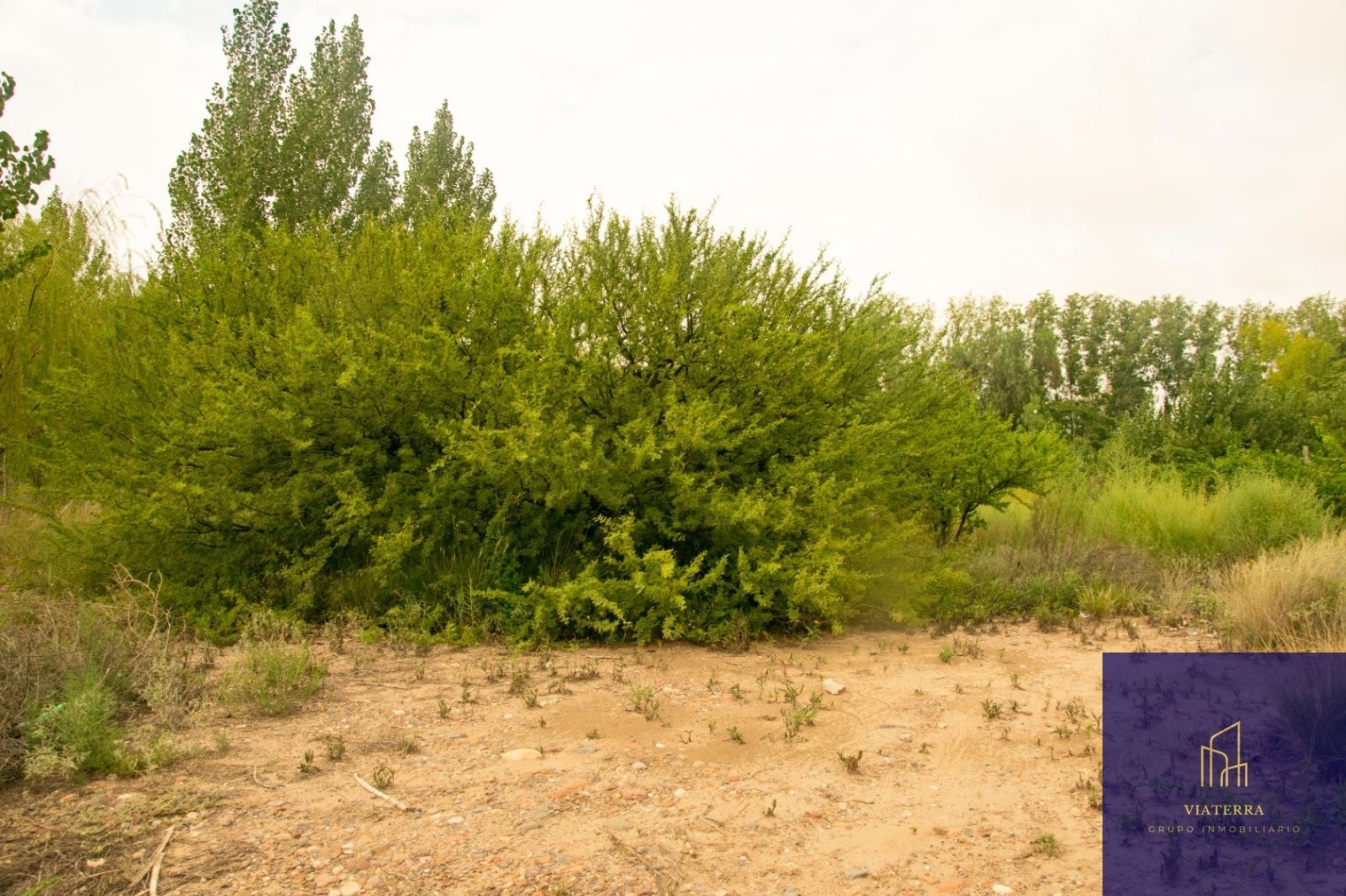 Terreno en Venta en Lujan de Cuyo, Mendoza