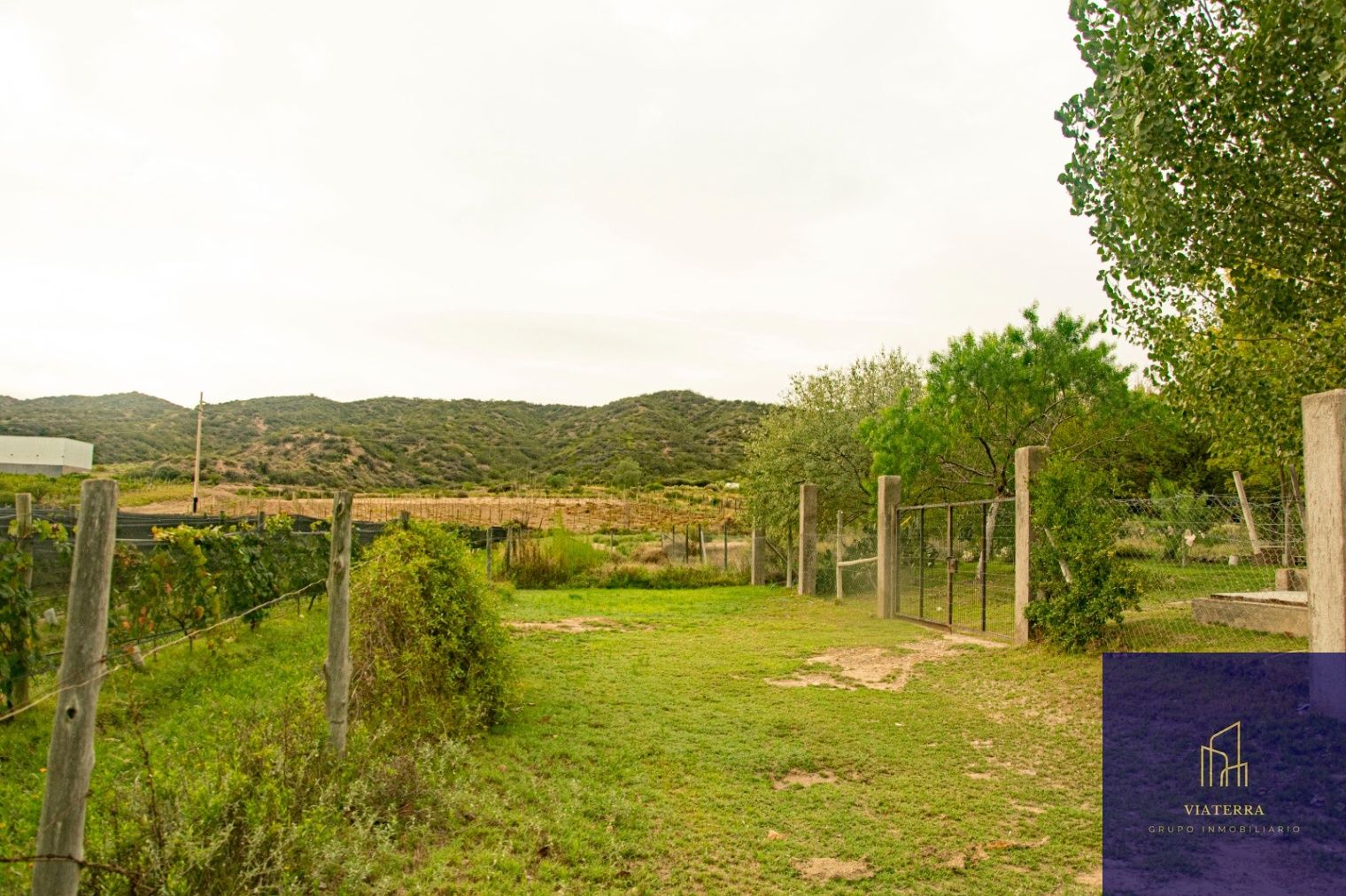 Terreno en Venta en Lujan de Cuyo, Mendoza