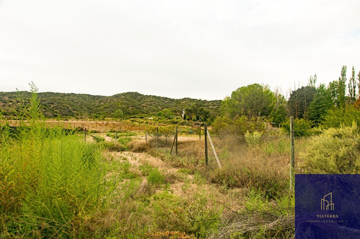 Terreno en Venta en Lujan de Cuyo, Mendoza