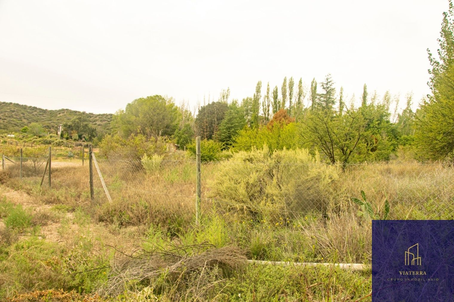 Terreno en Venta en Lujan de Cuyo, Mendoza