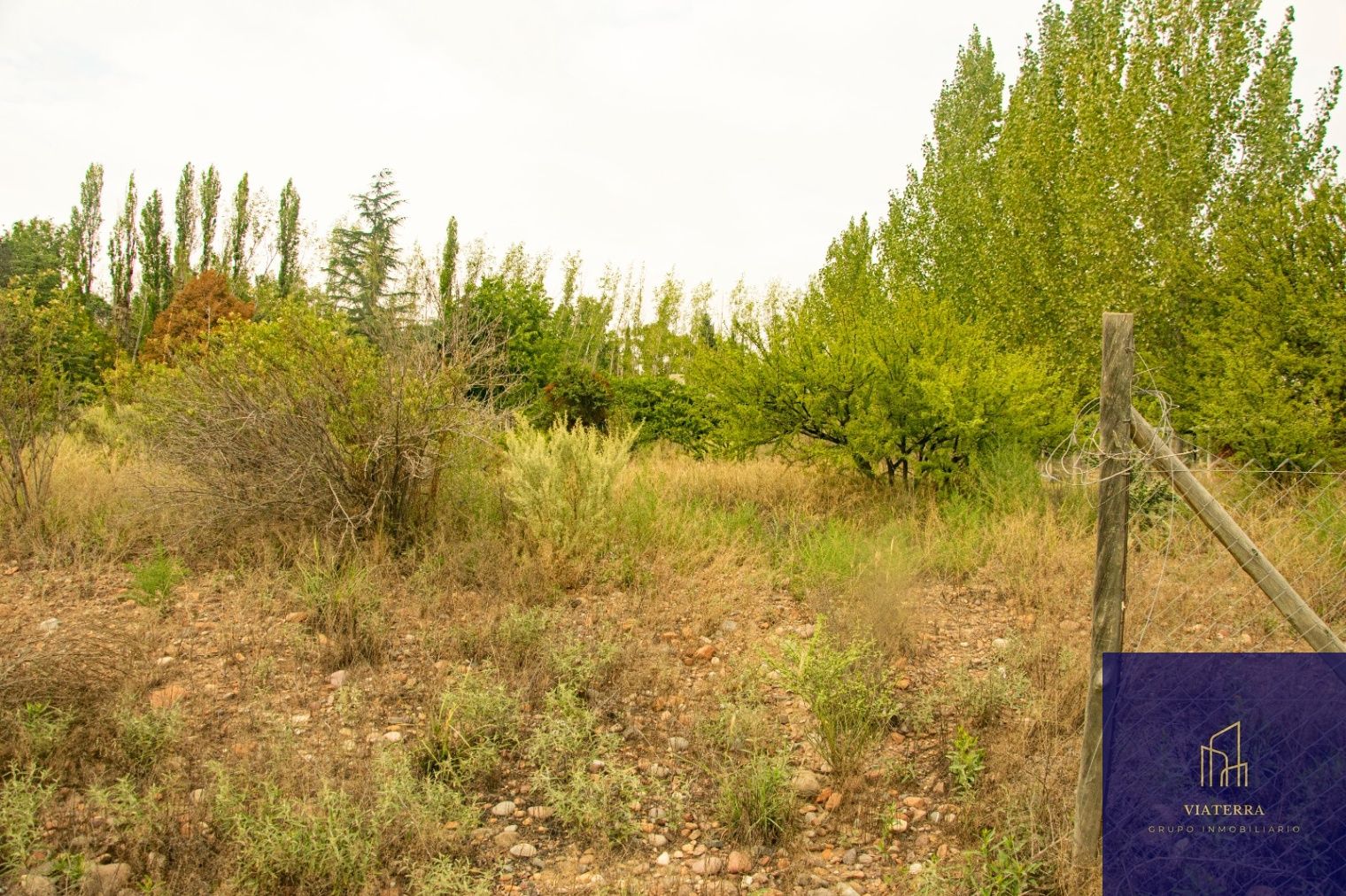 Terreno en Venta en Lujan de Cuyo, Mendoza