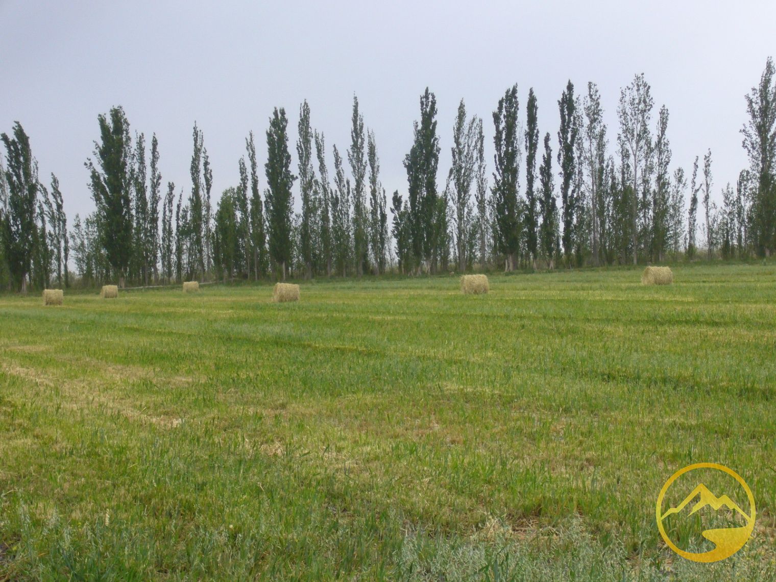 Finca en Venta en San Rafael, Mendoza