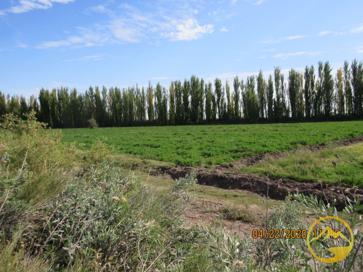 Finca en Venta en San Rafael, Mendoza