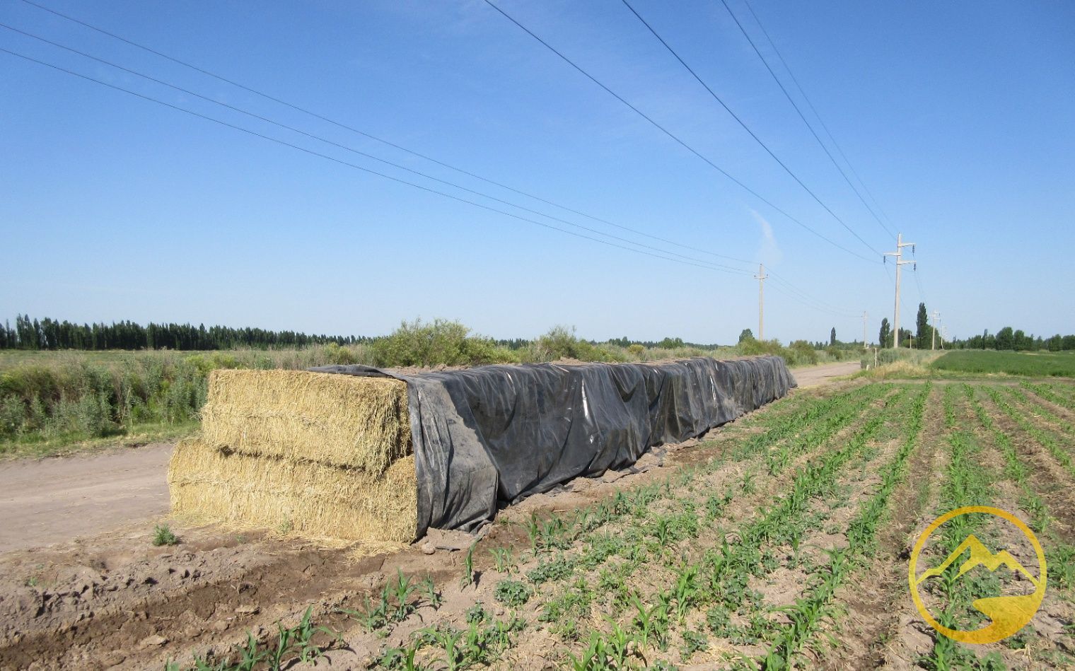 Finca en Venta en San Rafael, Mendoza