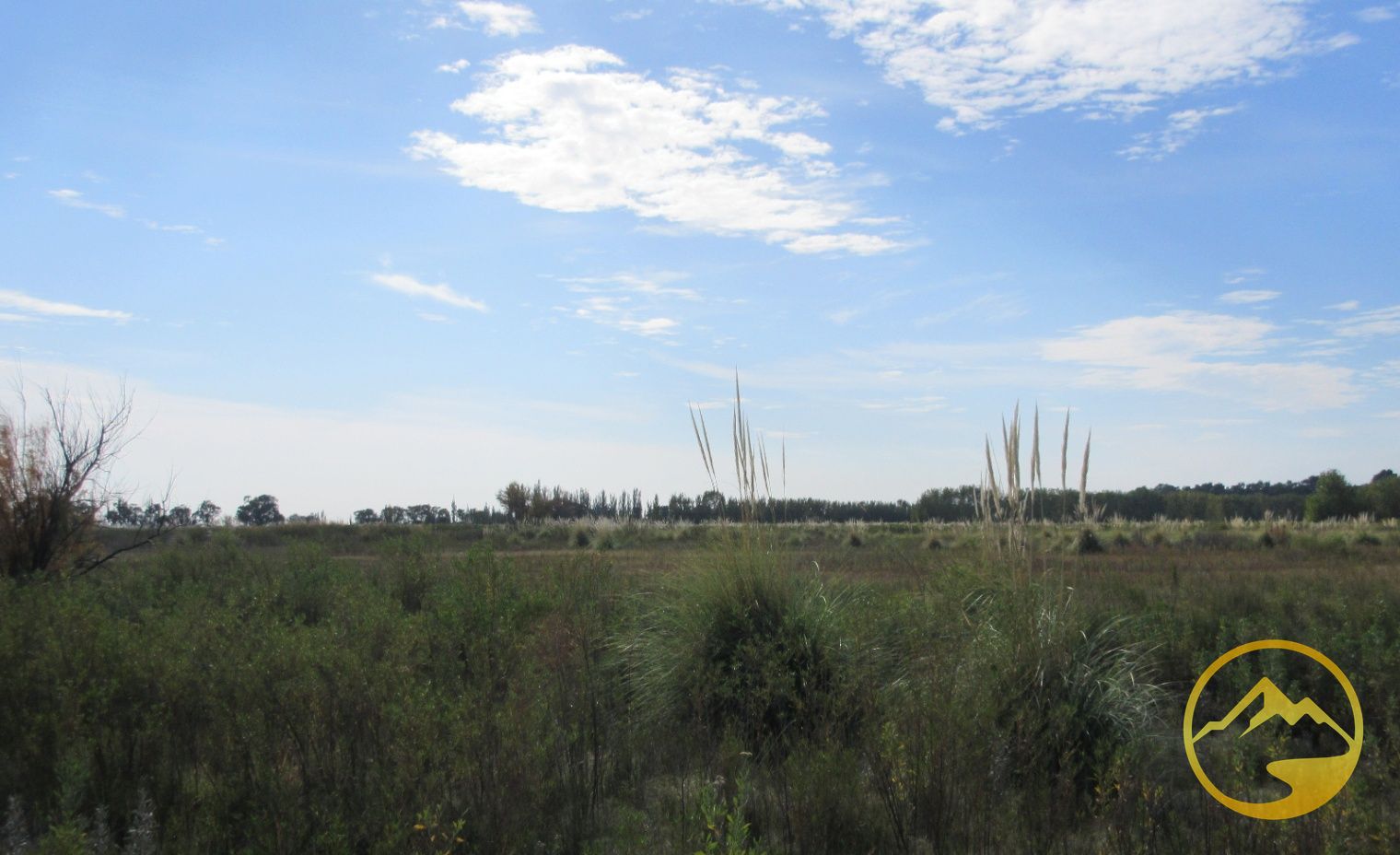 Finca en Venta en San Rafael, Mendoza