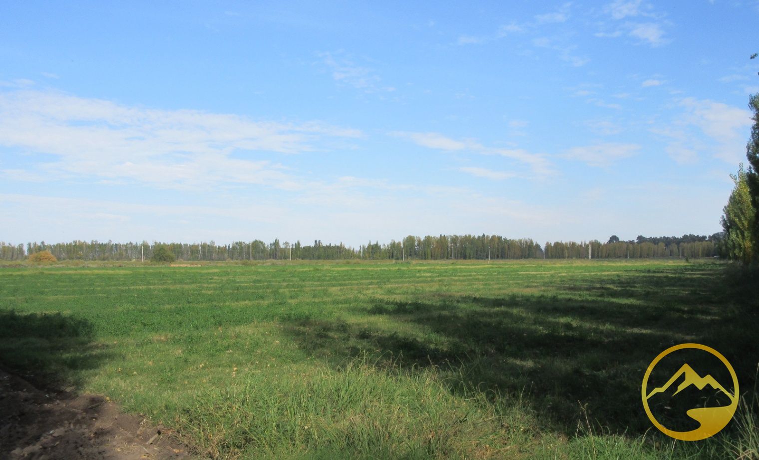 Finca en Venta en San Rafael, Mendoza