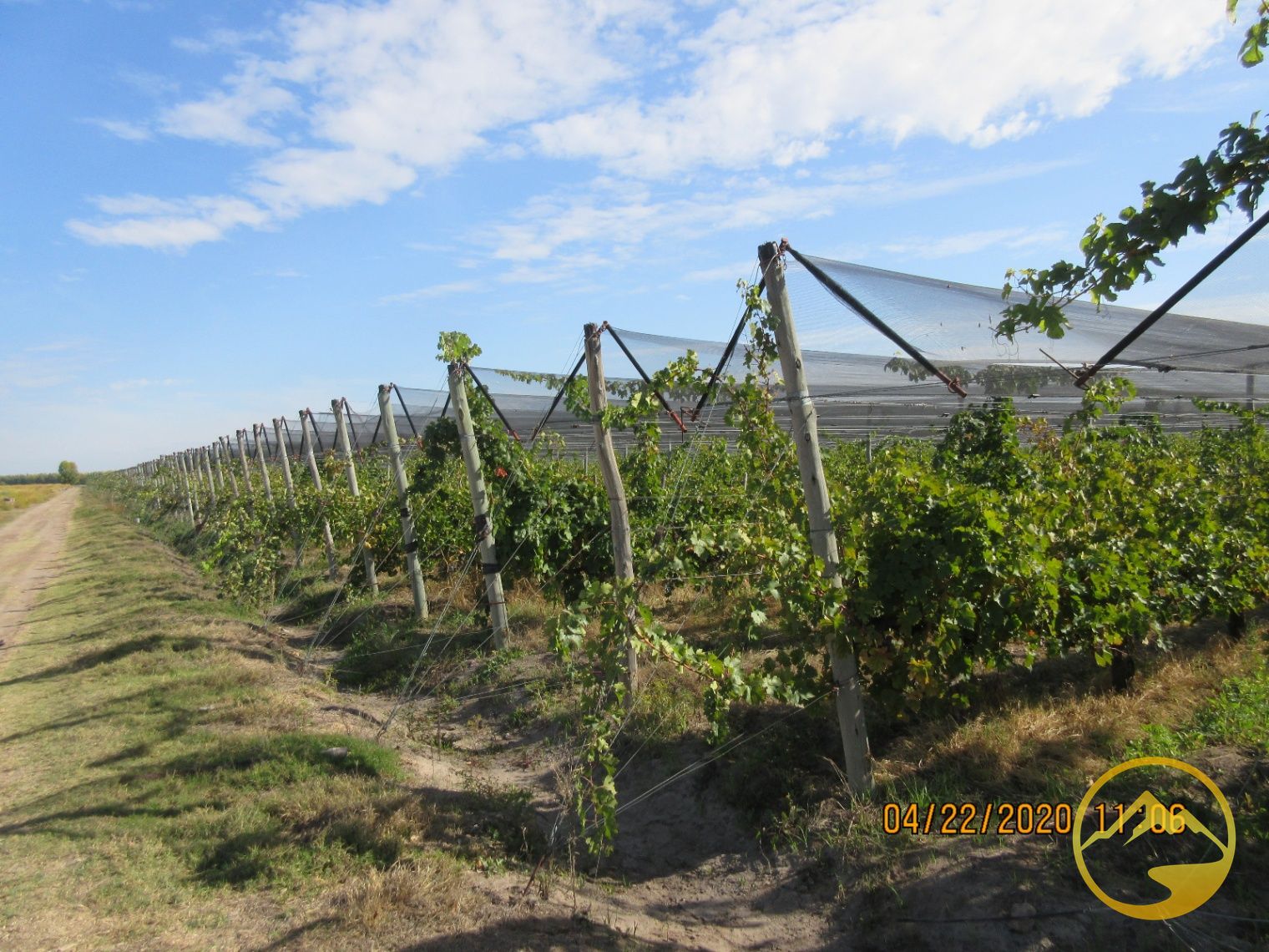 Finca en Venta en San Rafael, Mendoza