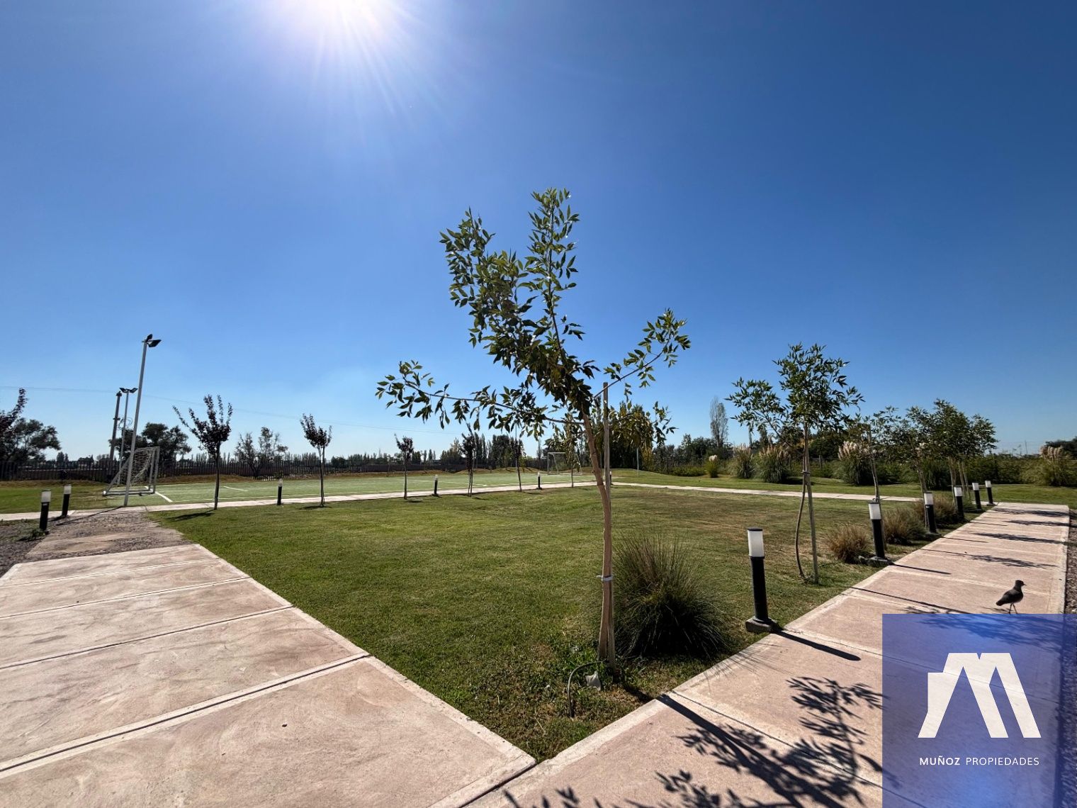 Terreno en Venta en Lujan de Cuyo, Mendoza