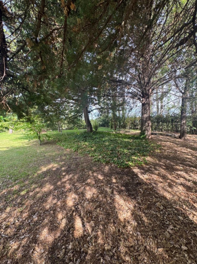 Casa en Venta en San Rafael, Mendoza