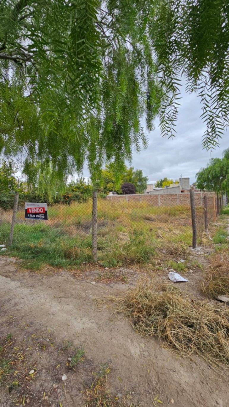 Terreno en Venta en Tunuyan, Mendoza