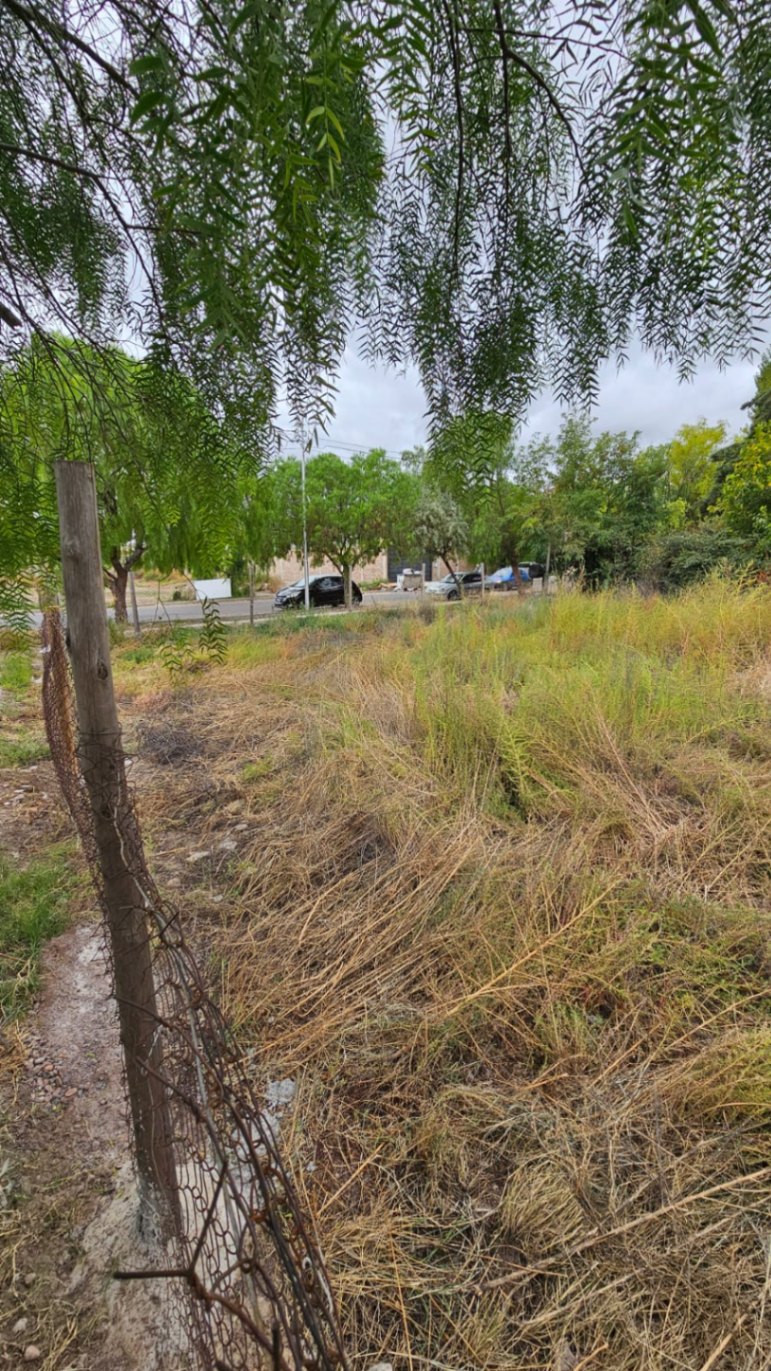 Terreno en Venta en Tunuyan, Mendoza