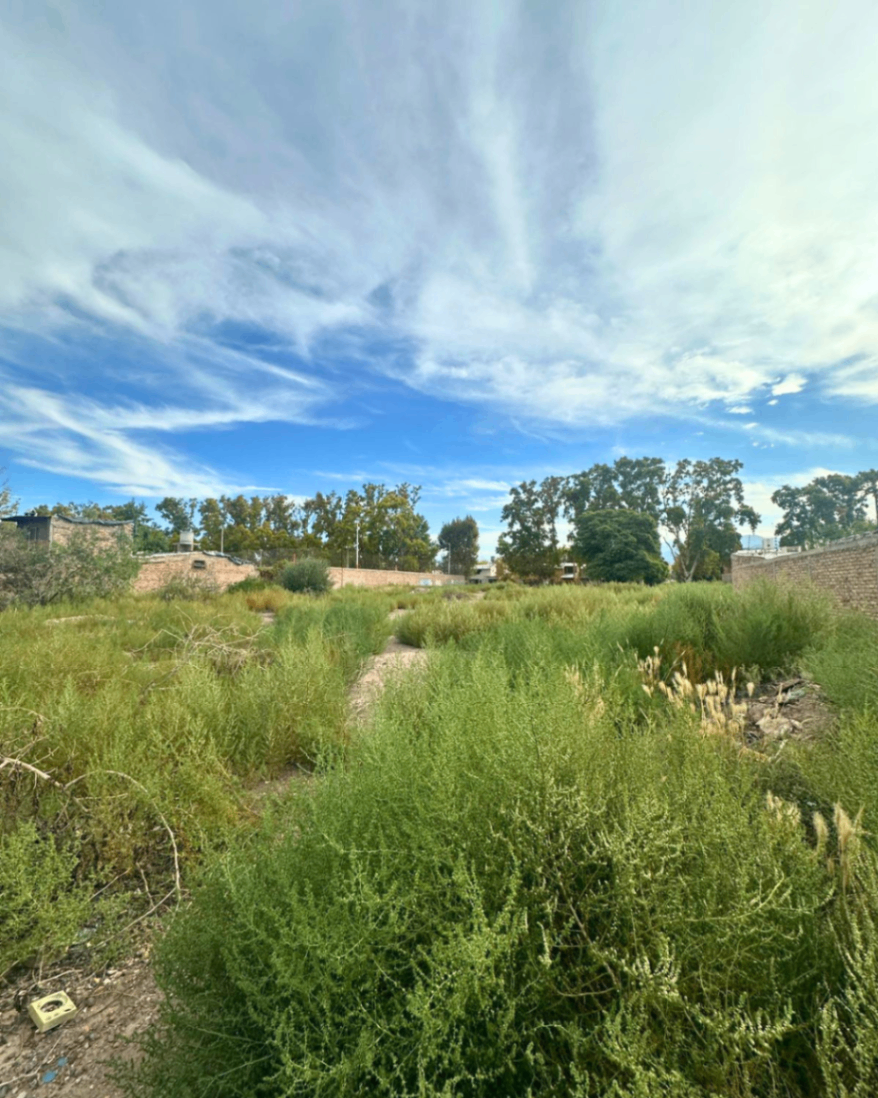 Terreno en Venta en Las Heras, Mendoza