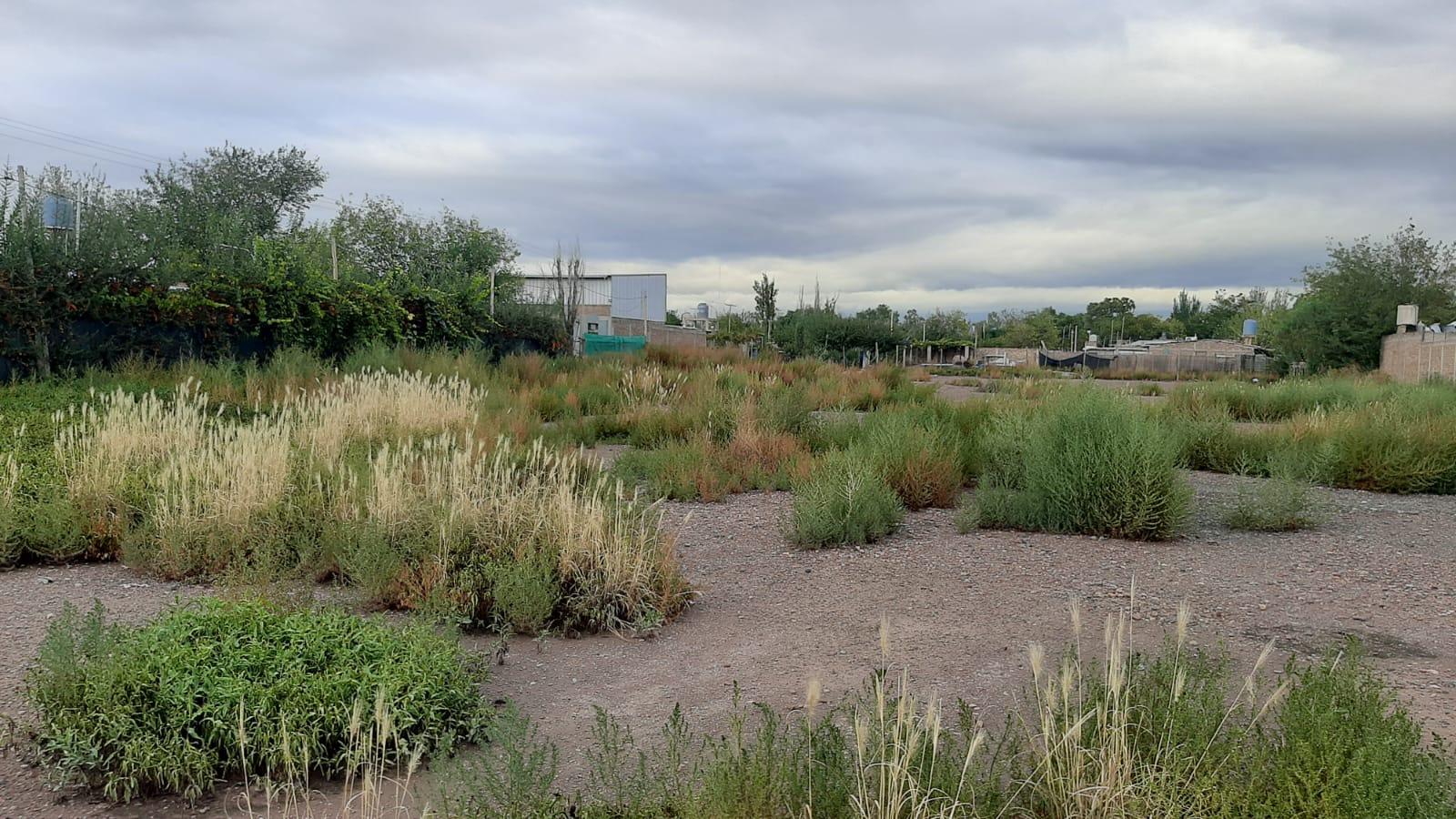 Terreno en Venta en Las Heras, Mendoza