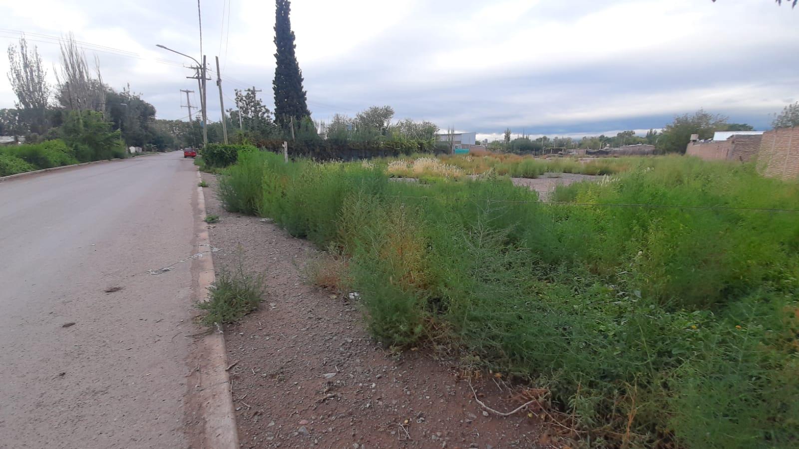 Terreno en Venta en Las Heras, Mendoza