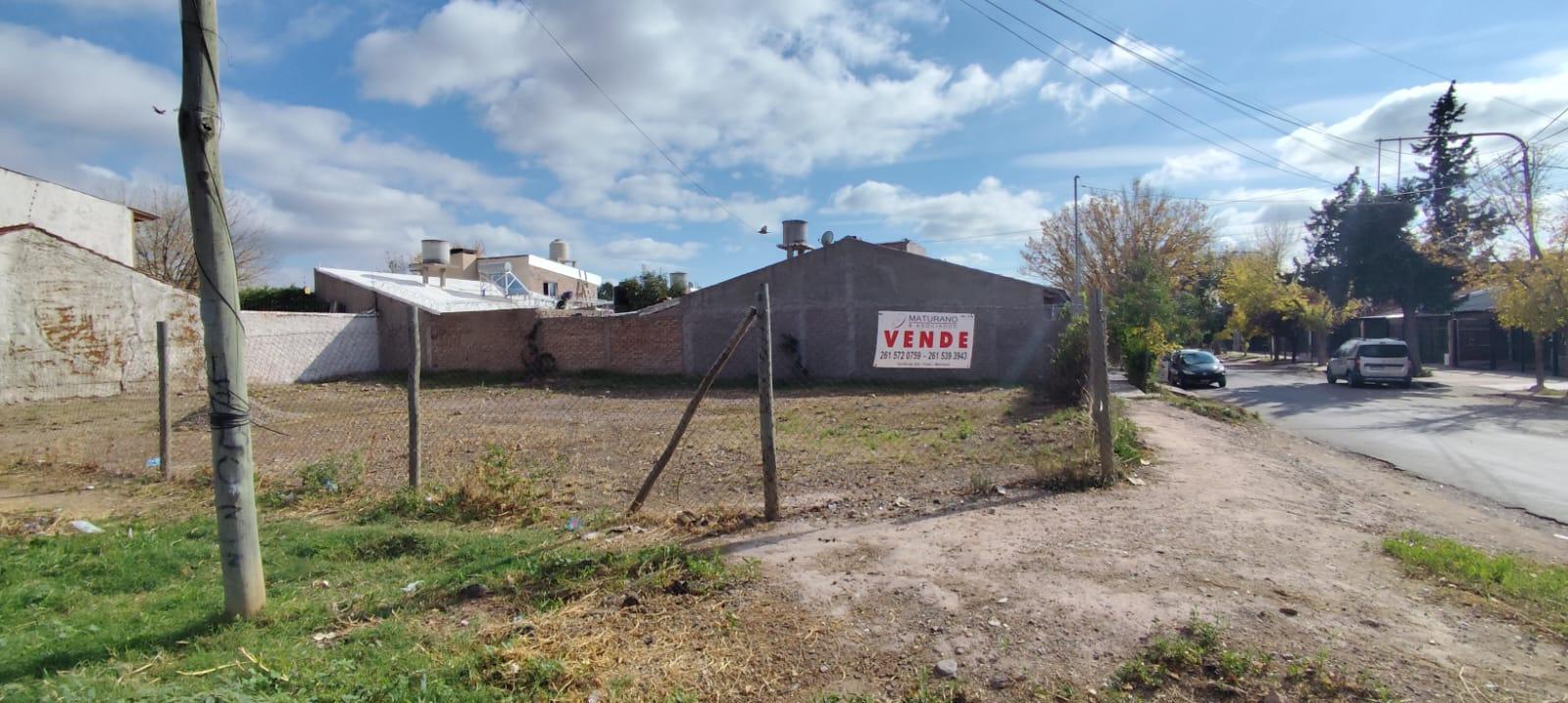 Imagen 6