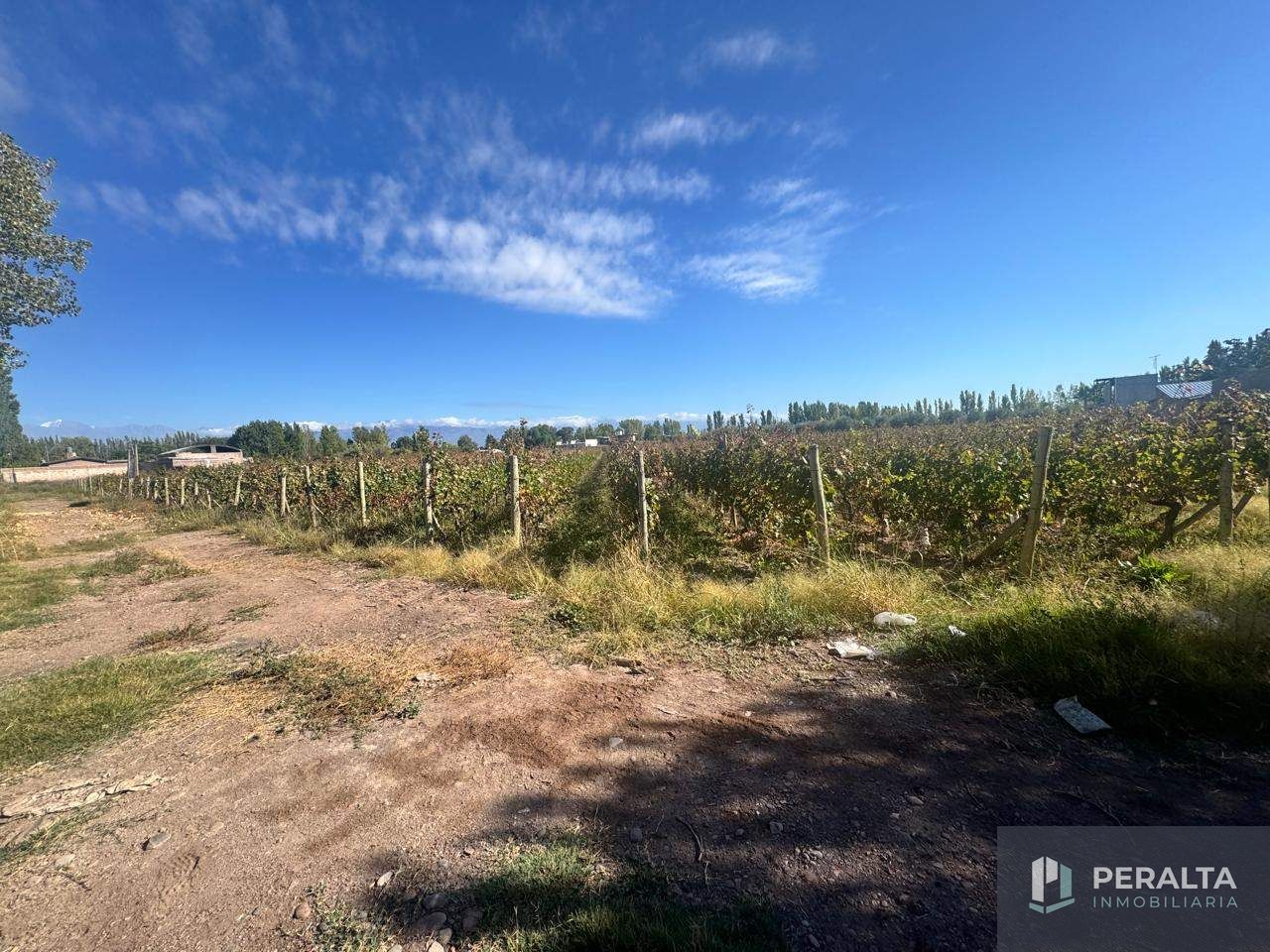 Terreno en Venta en Maipu, Mendoza