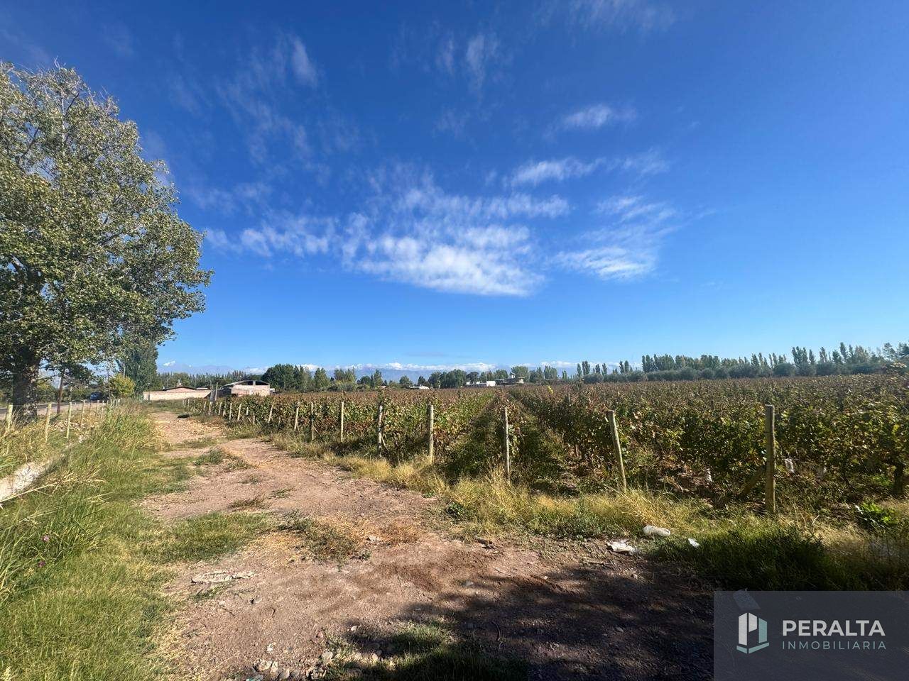 Terreno en Venta en Maipu, Mendoza