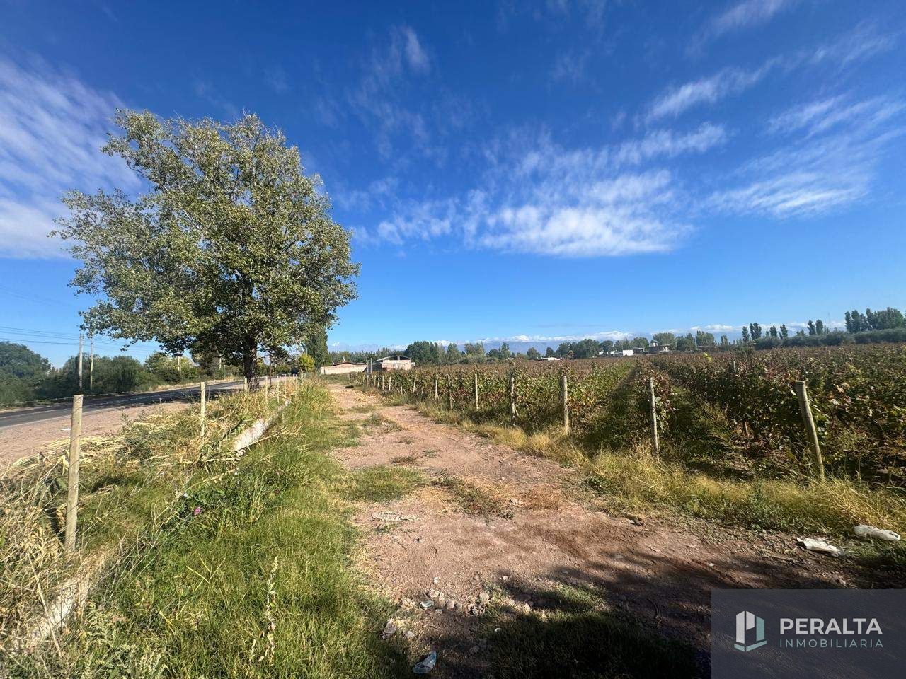 Terreno en Venta en Maipu, Mendoza