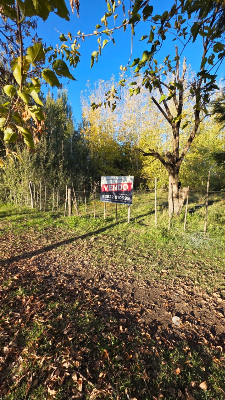 Finca en Venta en Tunuyan, Mendoza