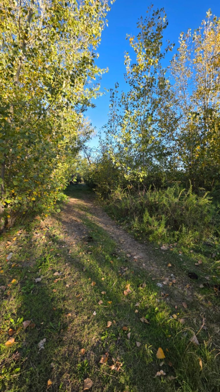 Finca en Venta en Tunuyan, Mendoza