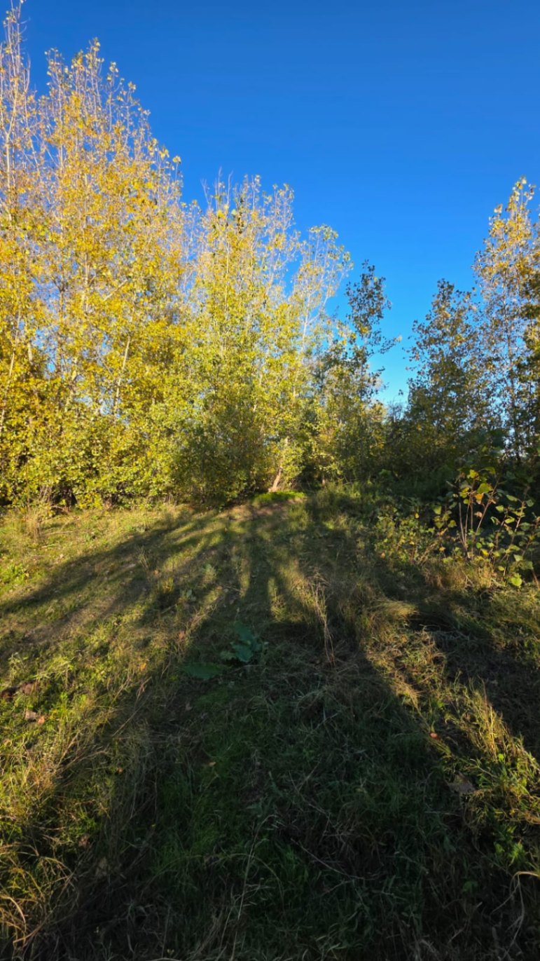 Finca en Venta en Tunuyan, Mendoza