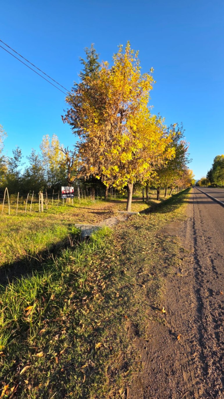 Finca en Venta en Tunuyan, Mendoza