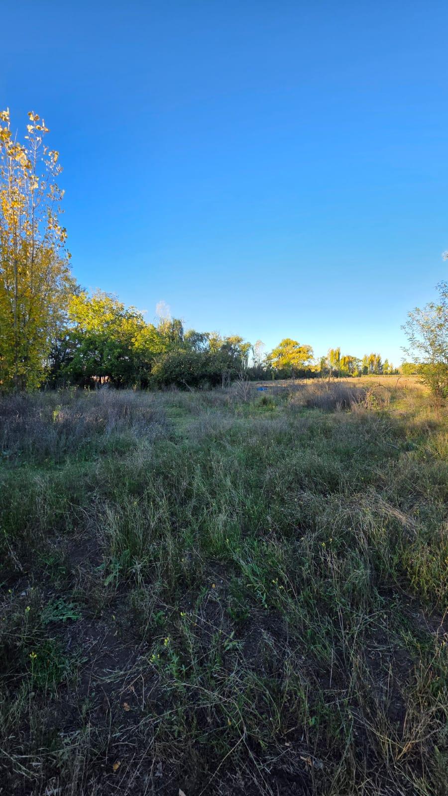 Finca en Venta en Tunuyan, Mendoza