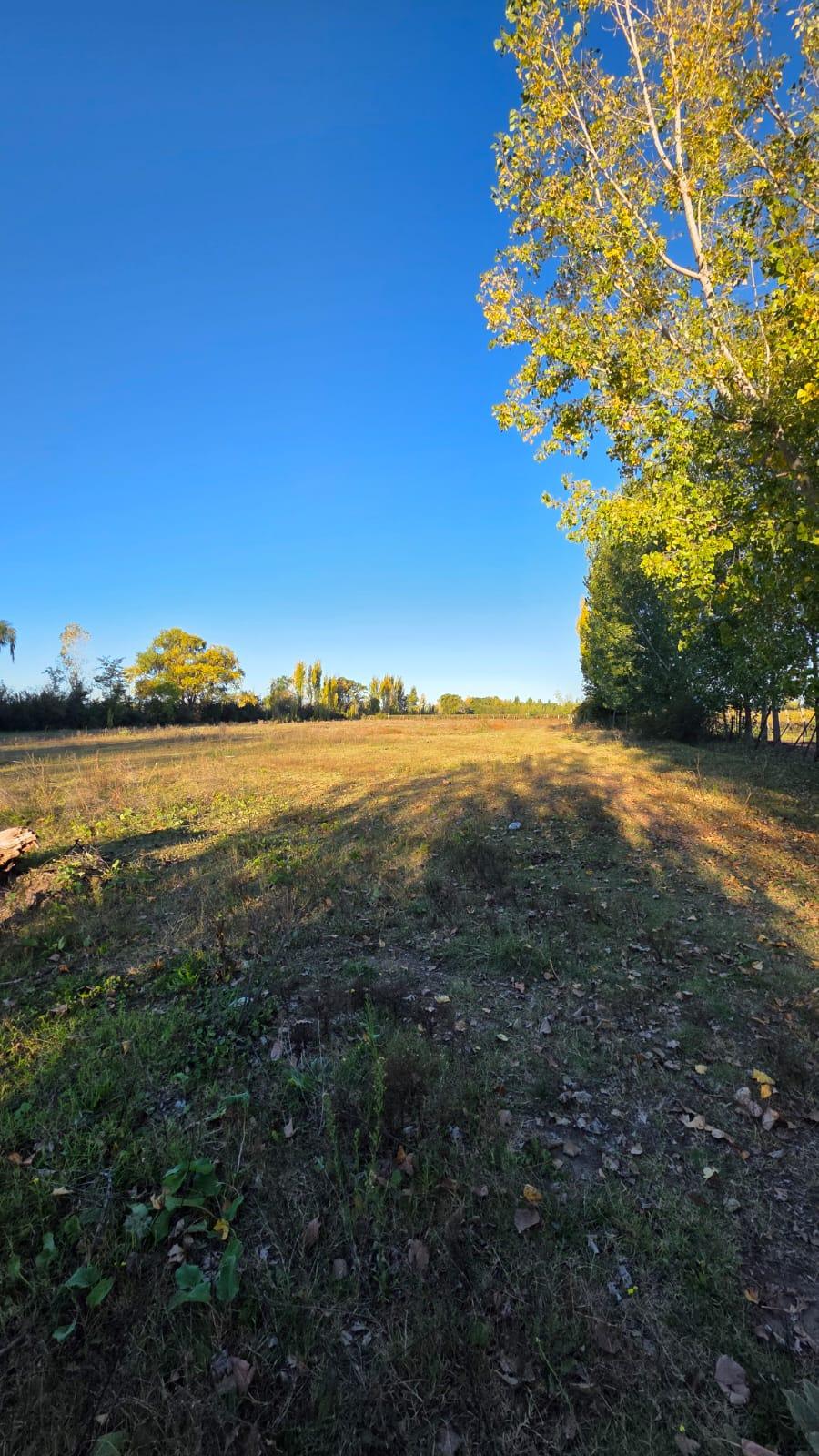 Finca en Venta en Tunuyan, Mendoza