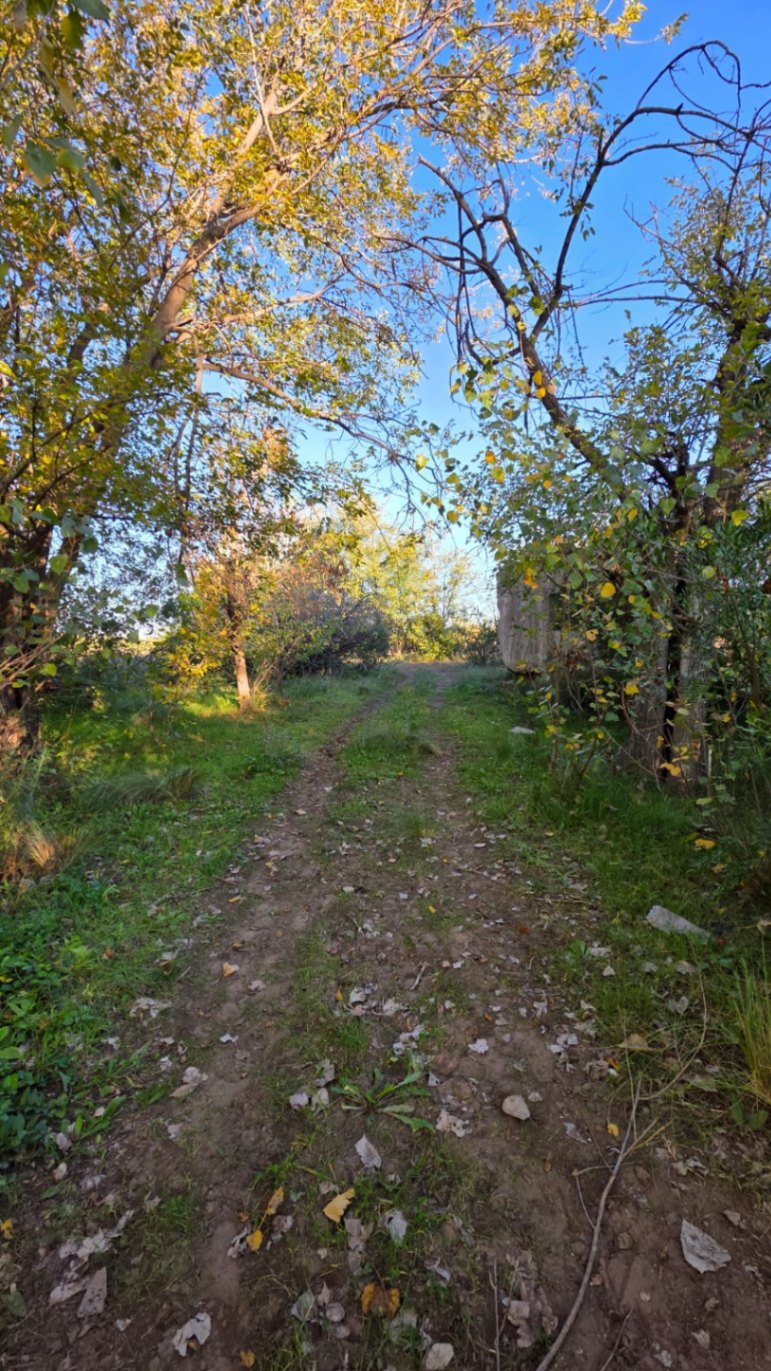 Finca en Venta en Tunuyan, Mendoza